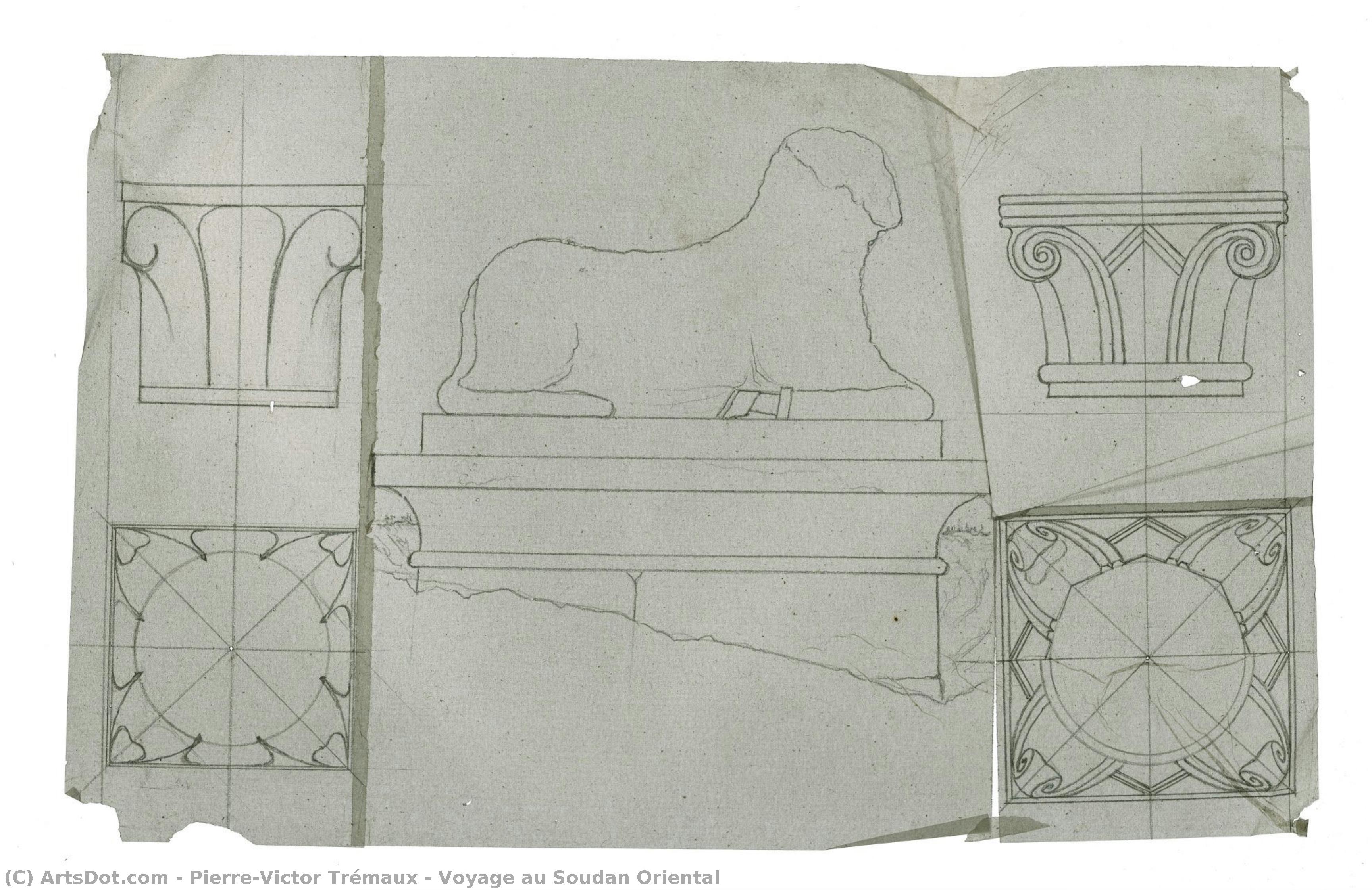 Voyage Au Soudan Oriental — Pierre-victor Trémaux