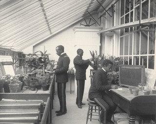 Agriculture. Plant Life Experiments With Plants And Soil — Frances Benjamin Johnston