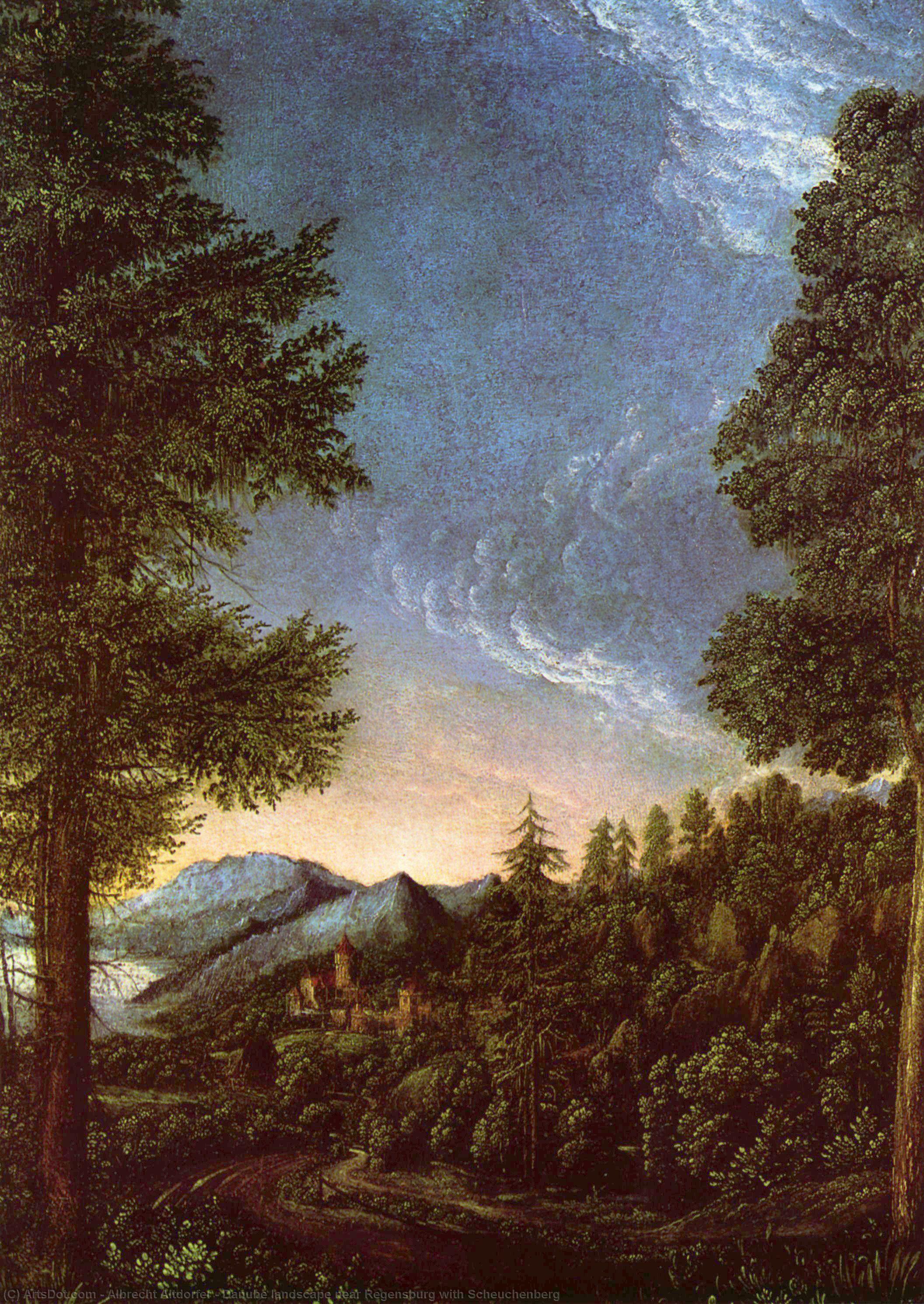 Danube Landscape Near Regensburg With Scheuchenberg — Albrecht Altdorfer
