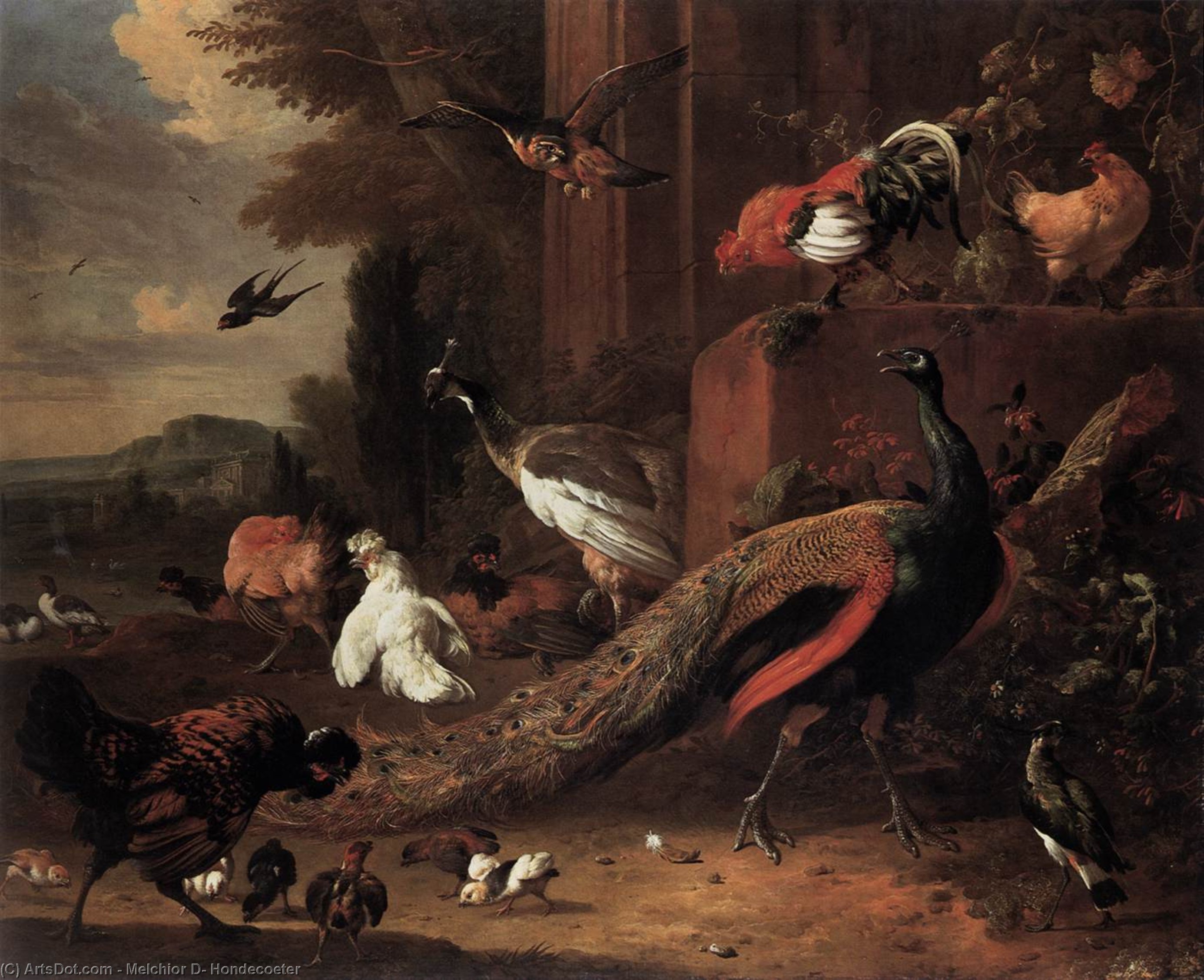 The Pair Of Peacocks — Melchior De Hondecoetter