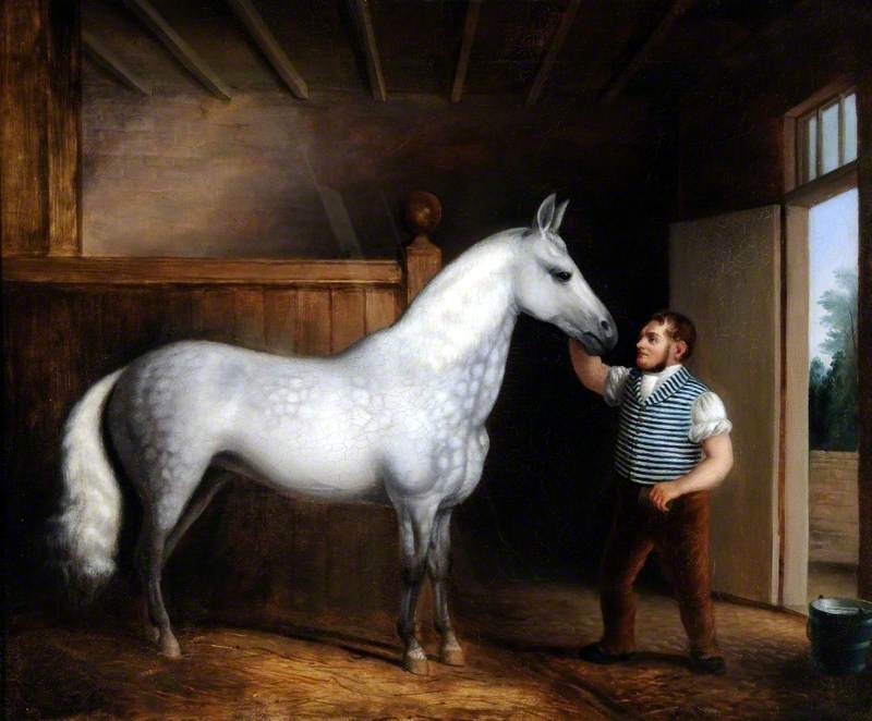 'cinderella', A Favourite Cob Of Mrs Henry Walker's And Her Coachman William Sales — James Poole