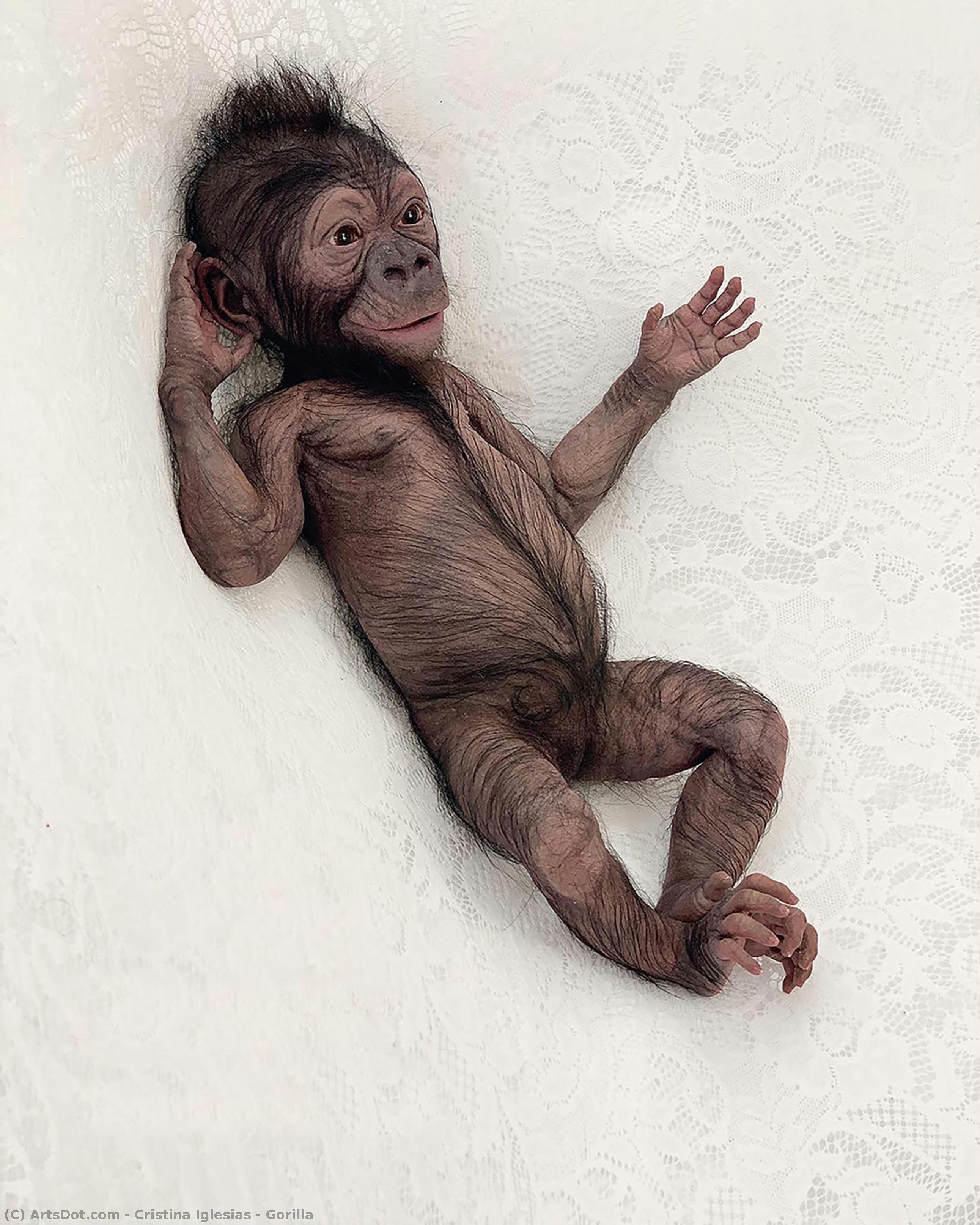 Gorilla — Cristina Iglesias