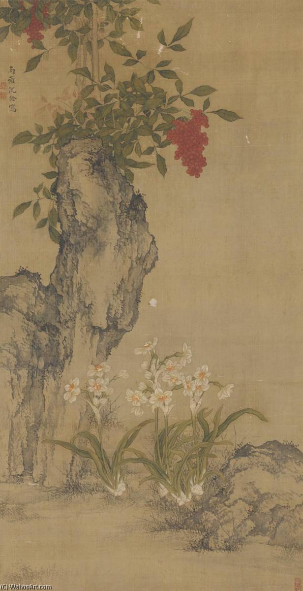 Narcissus And Rock — Shen Quan