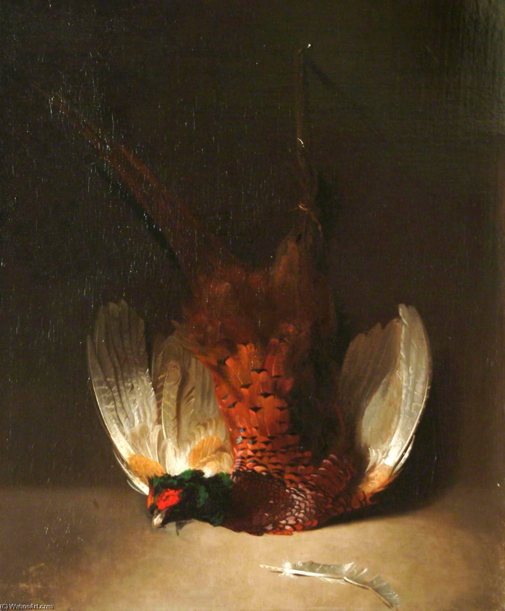 Dead Cock Pheasant — Stephen Elmer