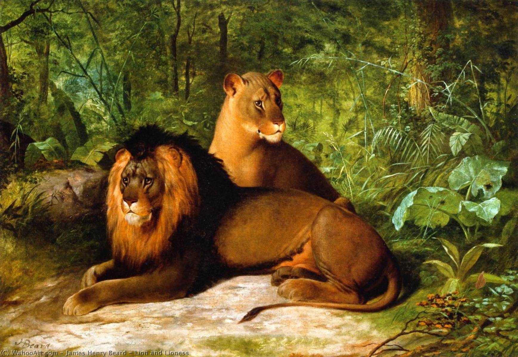 Lion And Lioness — James Henry Beard