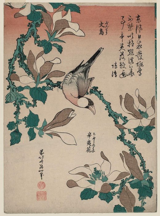 Java Sparrow On Magnolia — Katsushika Hokusai