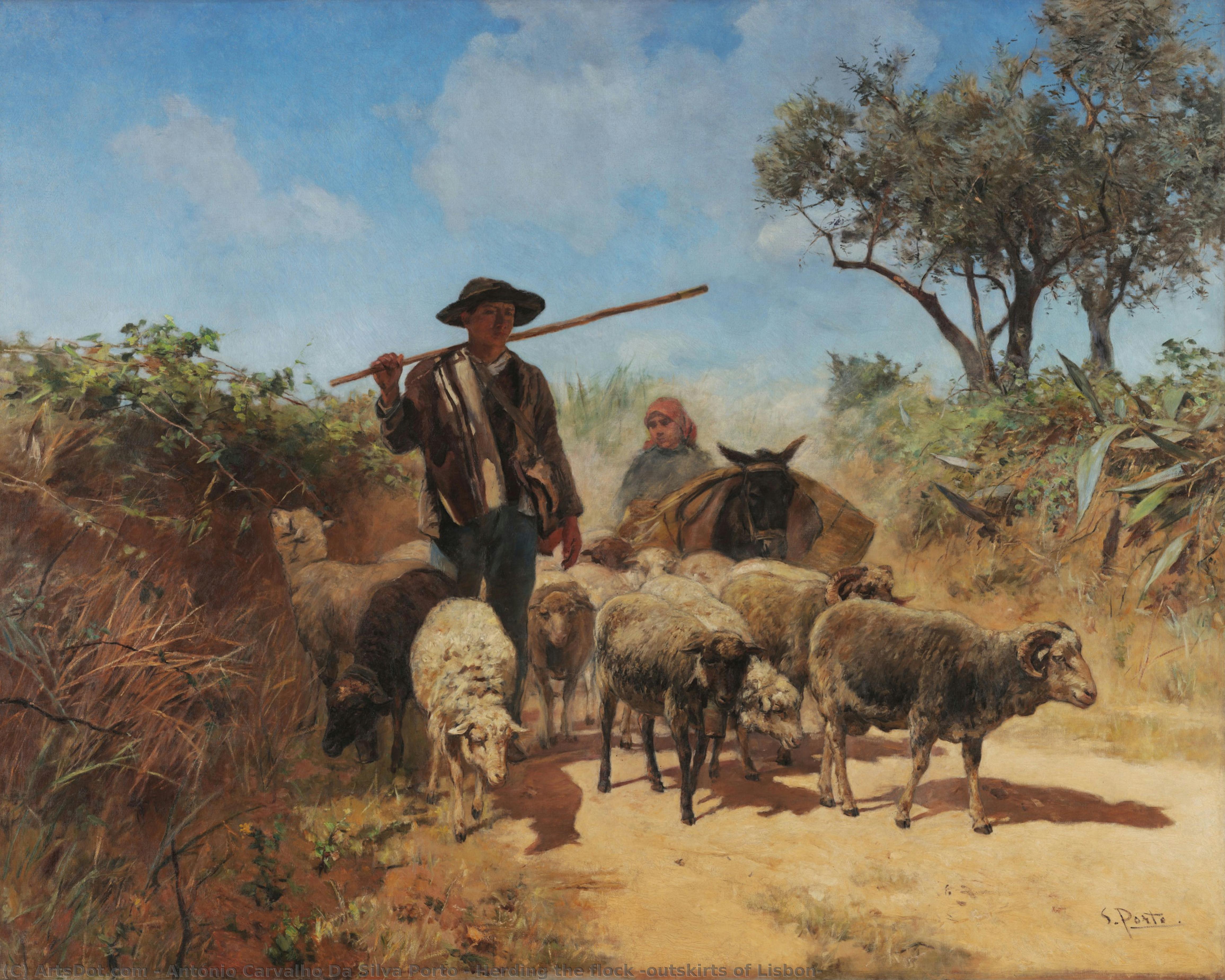 Herding The Flock (outskirts Of Lisbon) — シルヴァ・ポルト