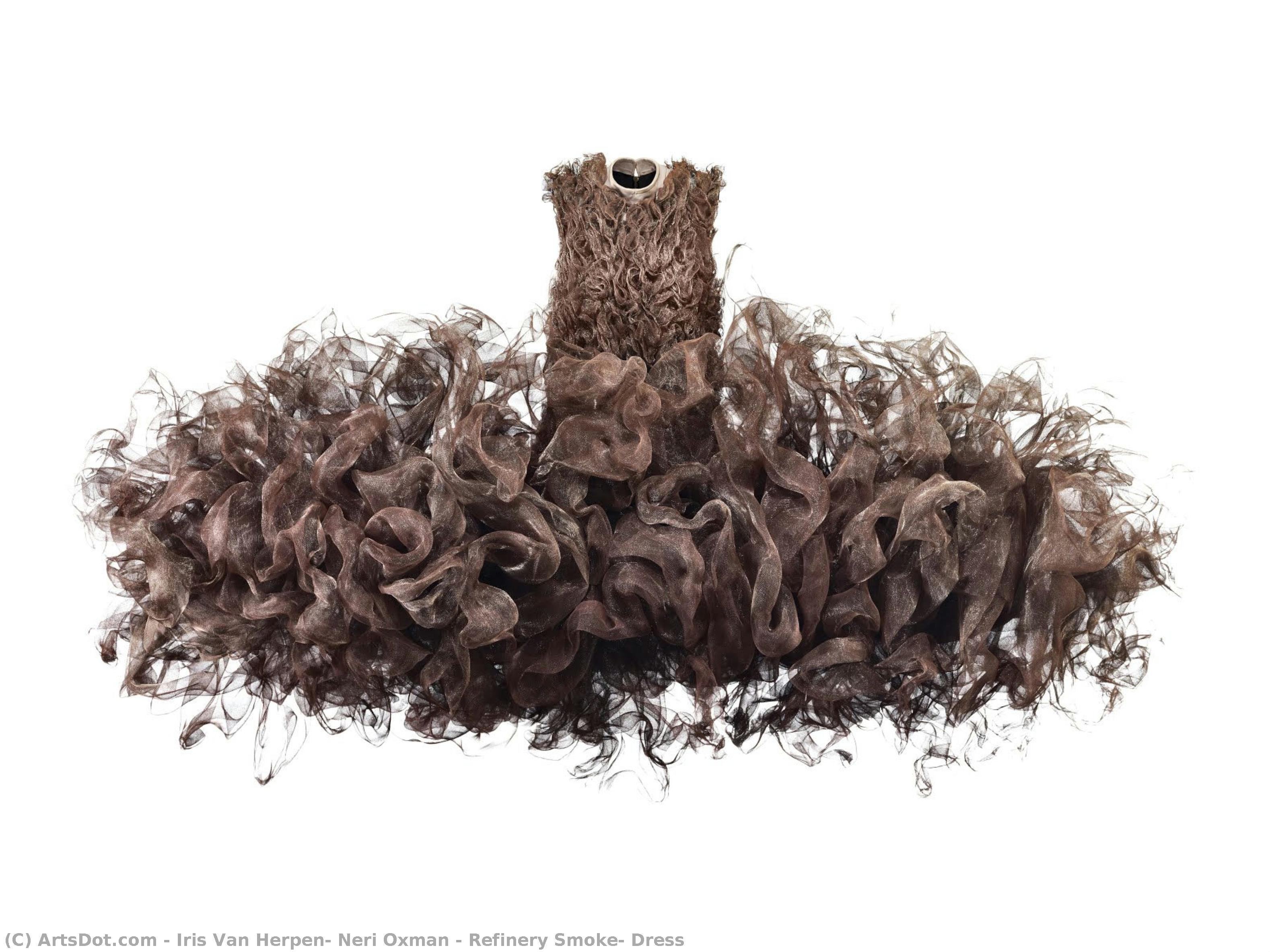Refinery Smoke, Dress — Iris Van Herpen, Neri Oxman