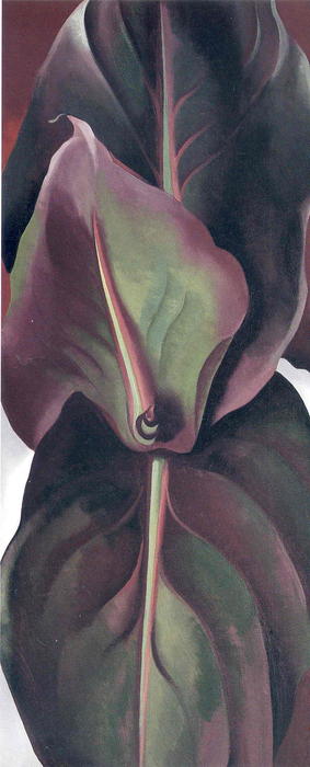 Canna Leaves — Georgia O'keeffe