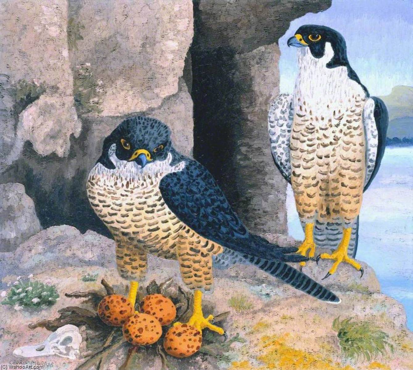 Peregrine Falcons — Cedric Lockwood Morris