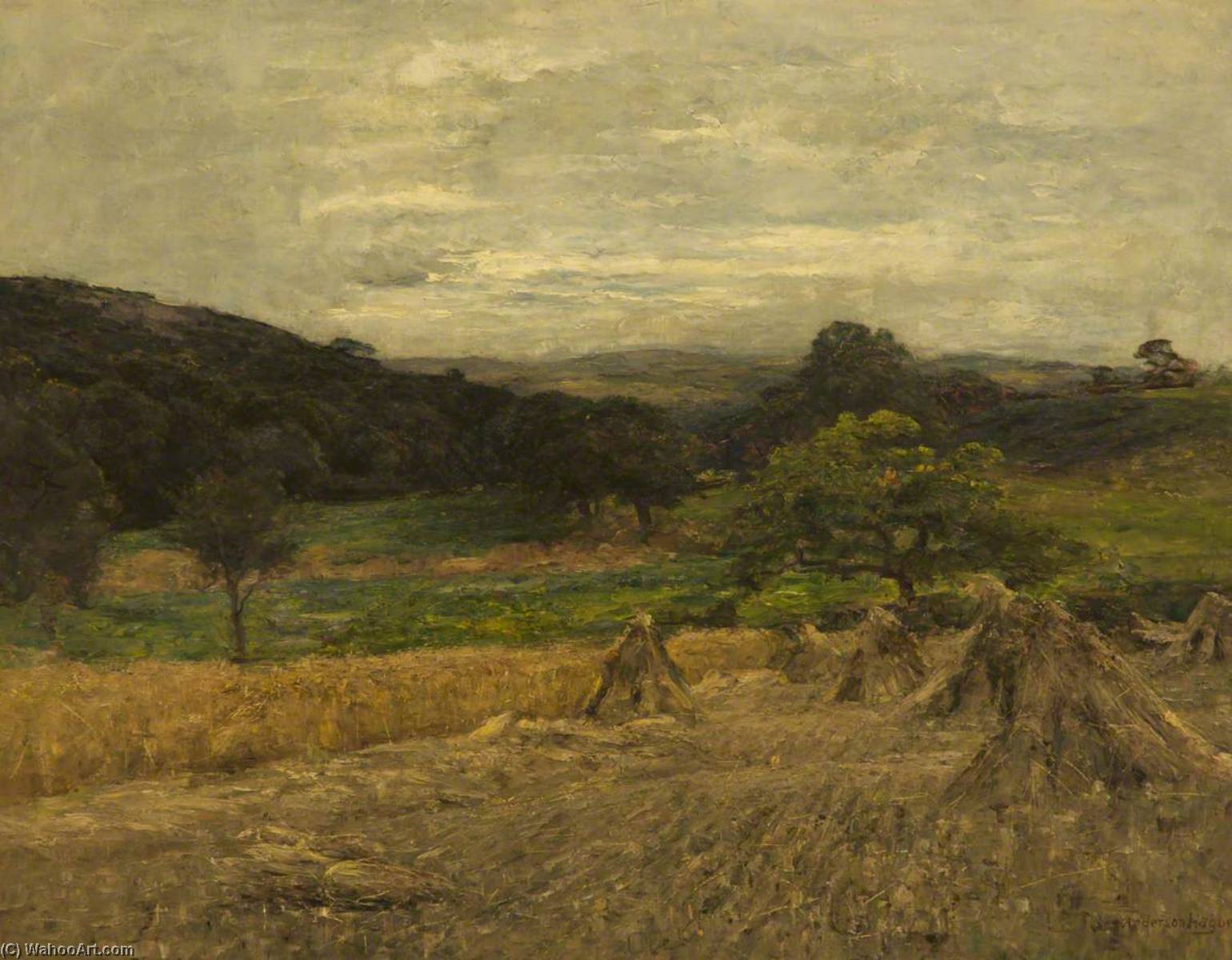 Cornfield — Joshua Anderson Hague