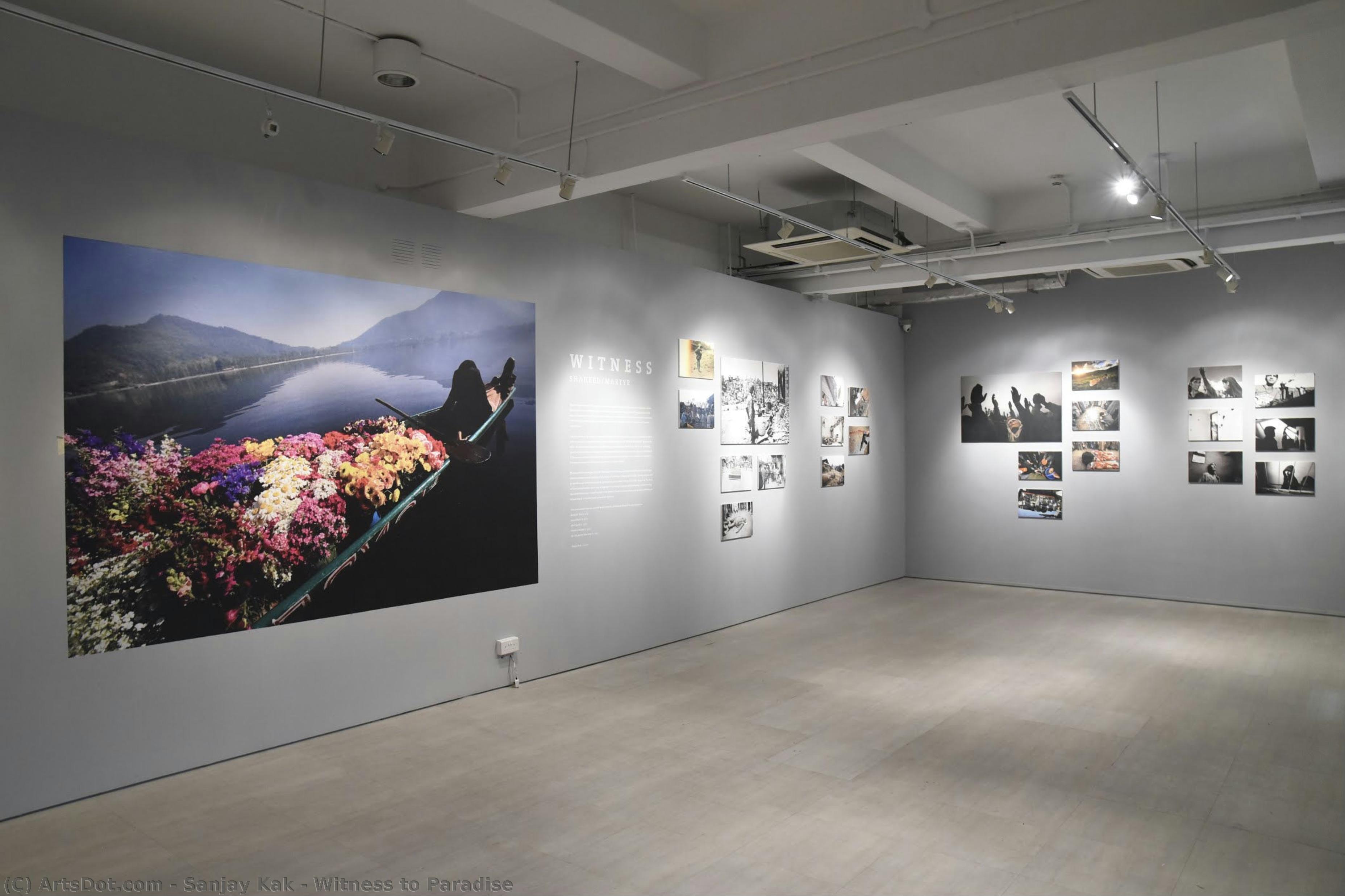 Witness To Paradise — Sanjay Kak