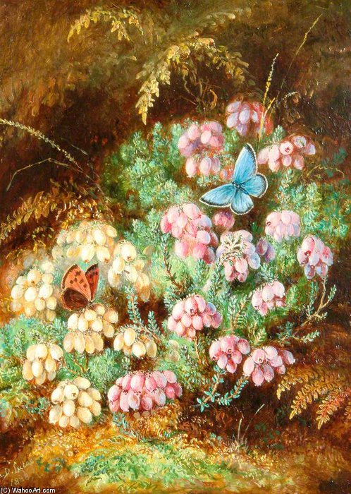 Heather — Albrecht Dürer