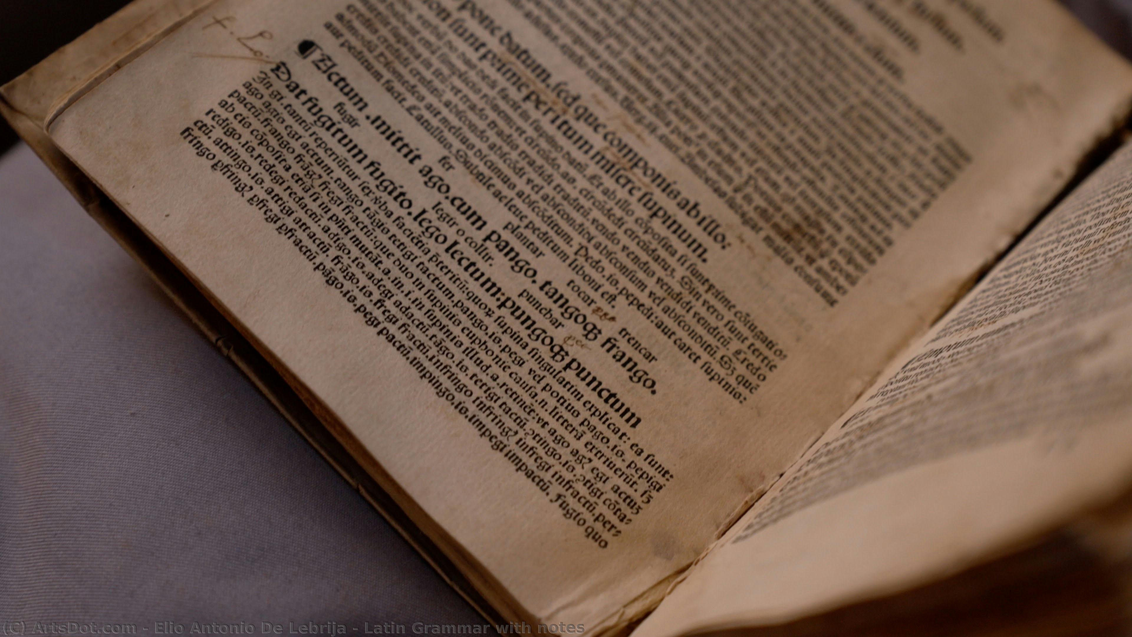 Latin Grammar With Notes — Elio Antonio De Lebrija