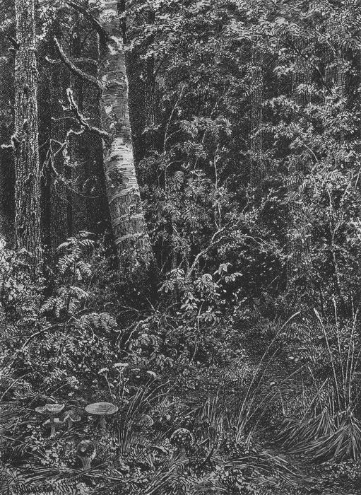 Thicket — Ivan Ivanovich Shishkin