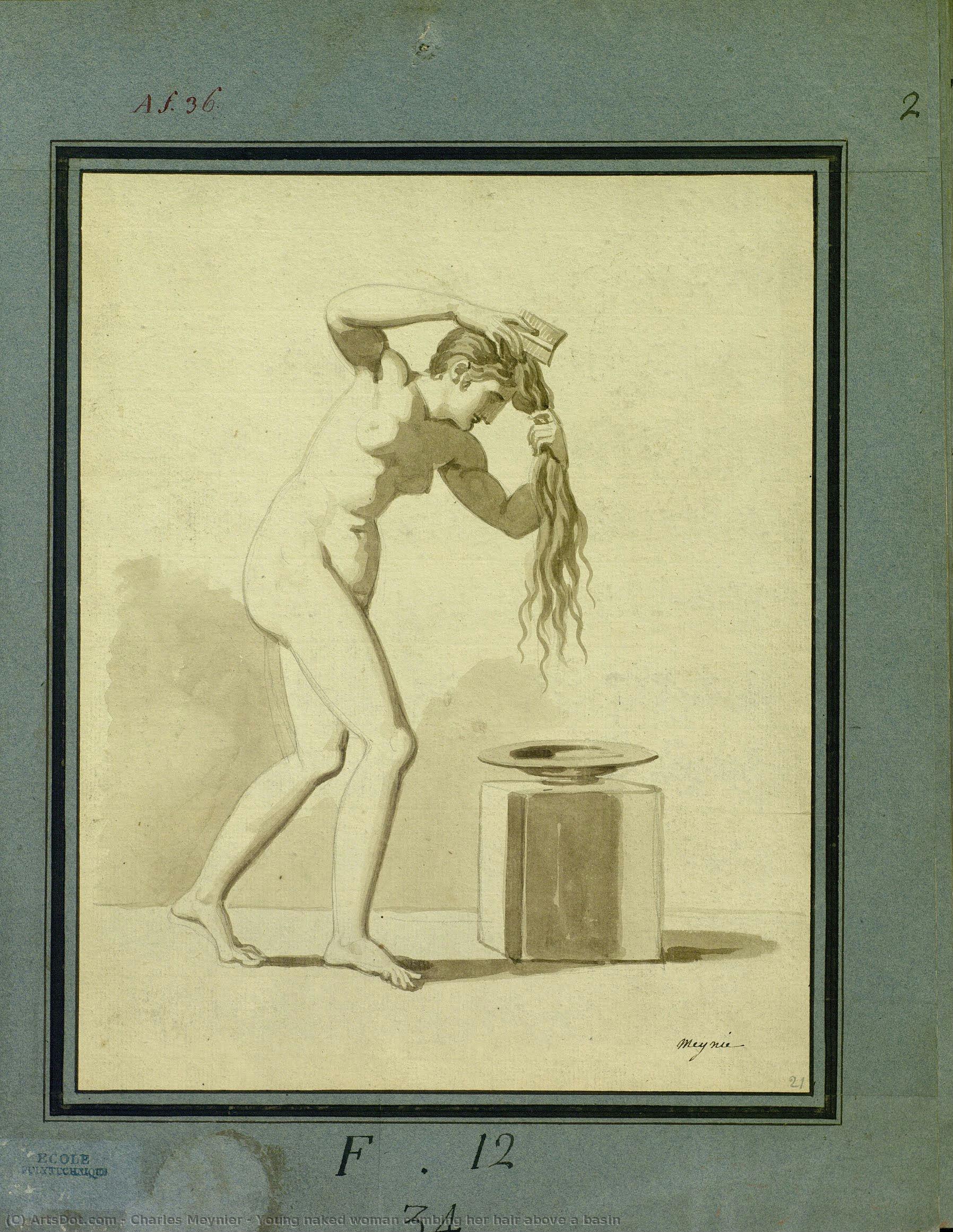 Young Naked Woman Combing Her Hair Above A Basin — Charles Meynier