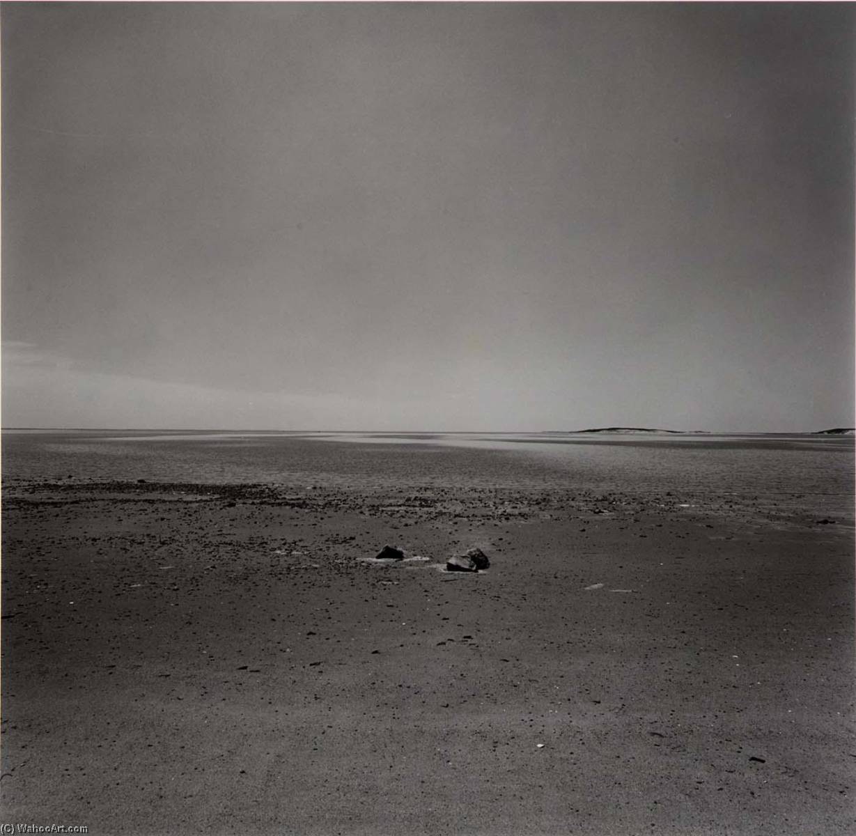 (untitled) ( 372) — Harry Callahan