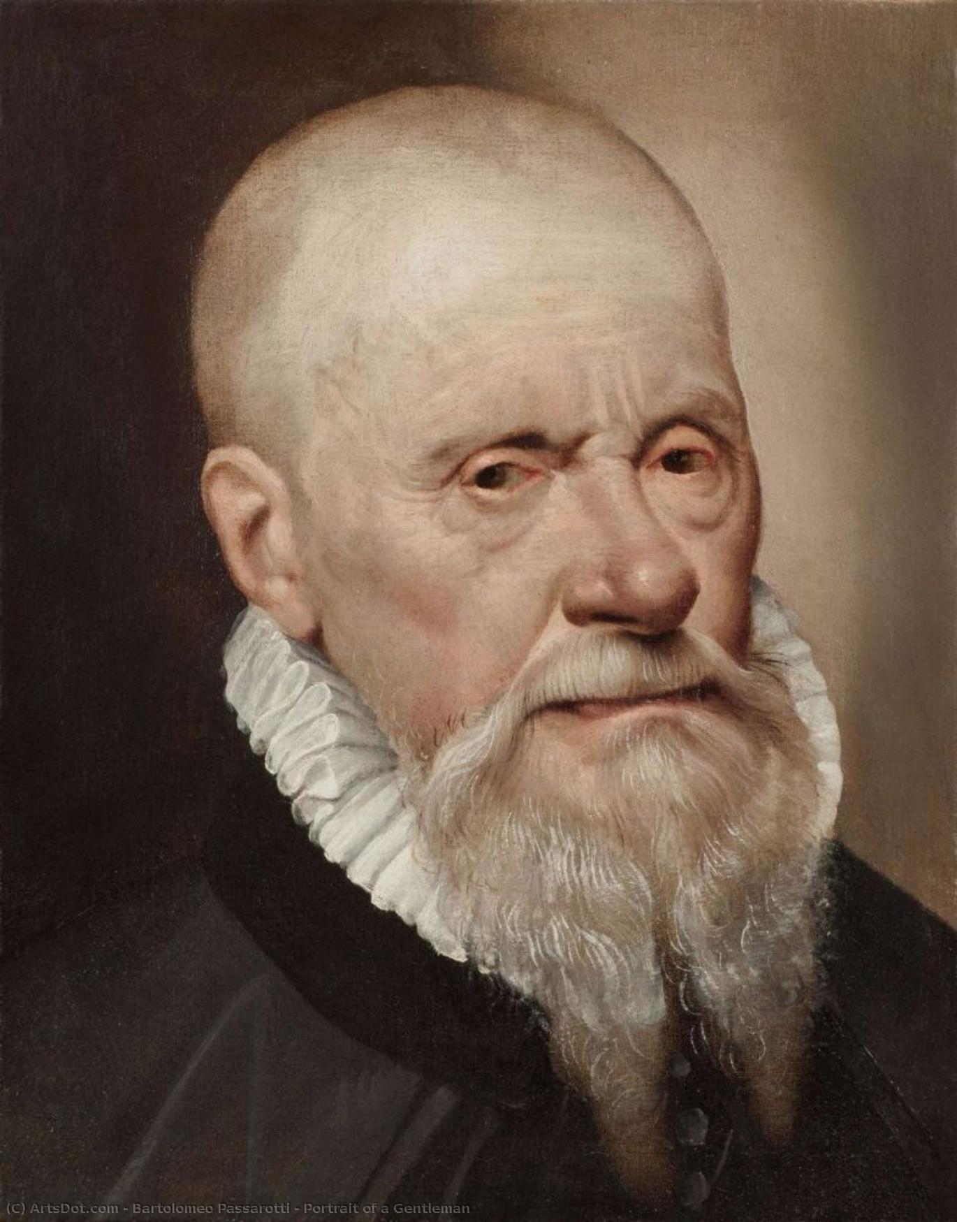 Portrait Of A Gentleman — Bartolomeo Passarotti