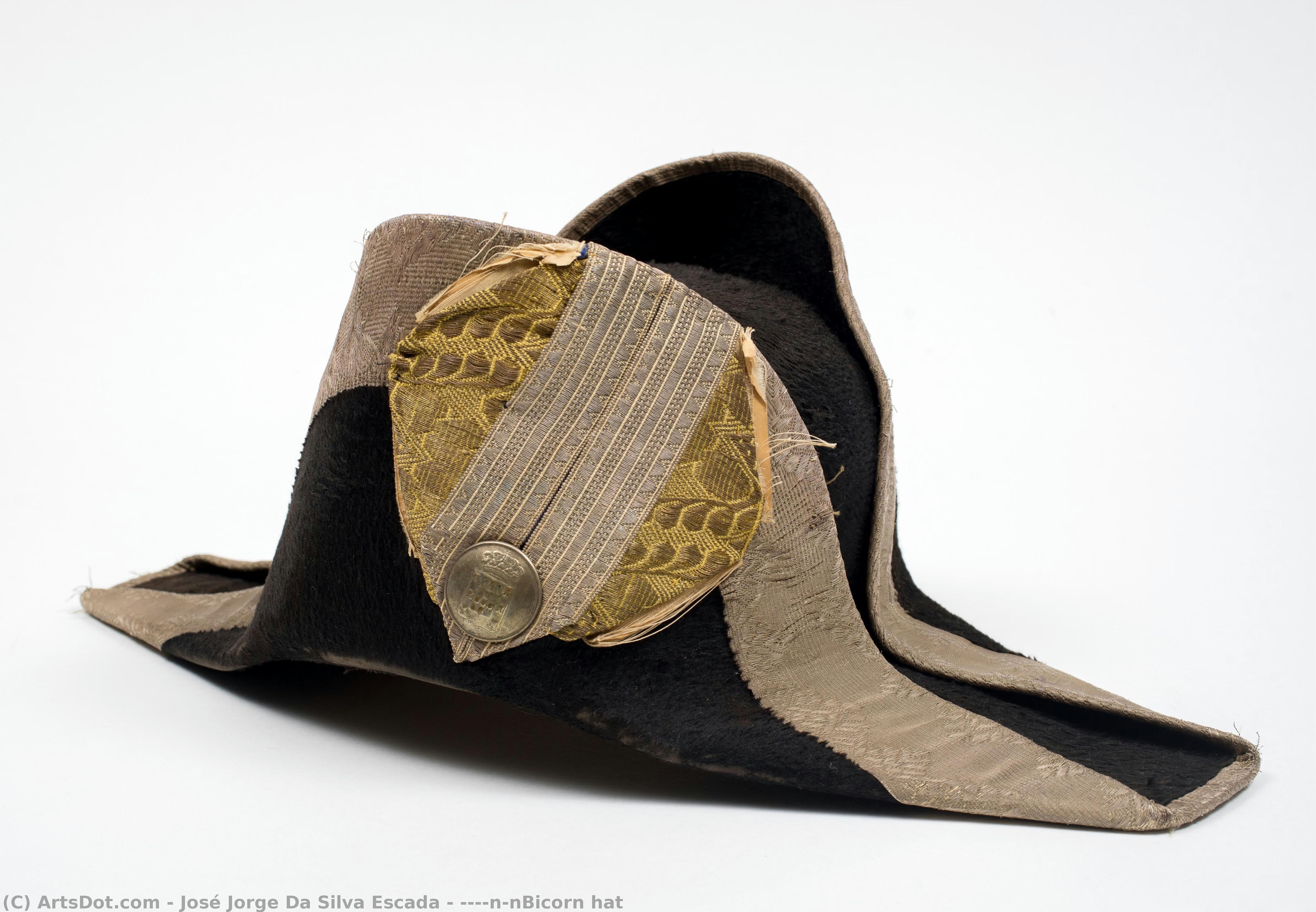 ‏‏‎\n\nbicorn Hat — José Jorge Da Silva Escada