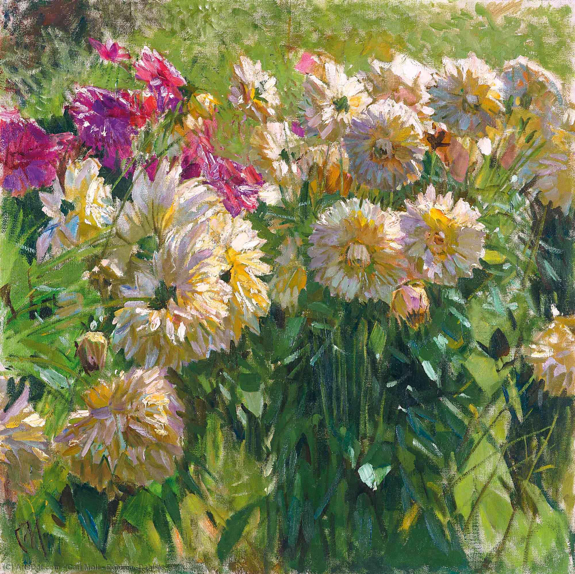 Dahlien (dahlias) — Carl Moll
