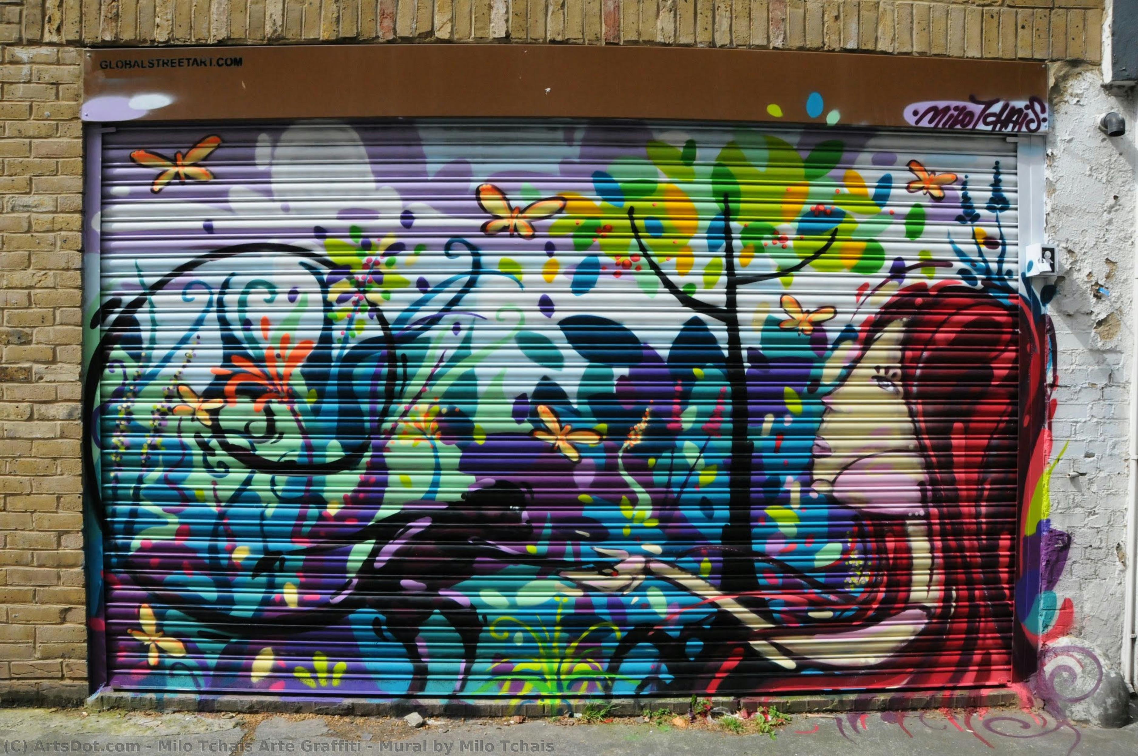 Mural By Milo Tchais — Milo Tchais Arte Graffiti