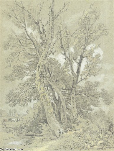 The River Bank, Sandhurst — William Alfred Delamotte