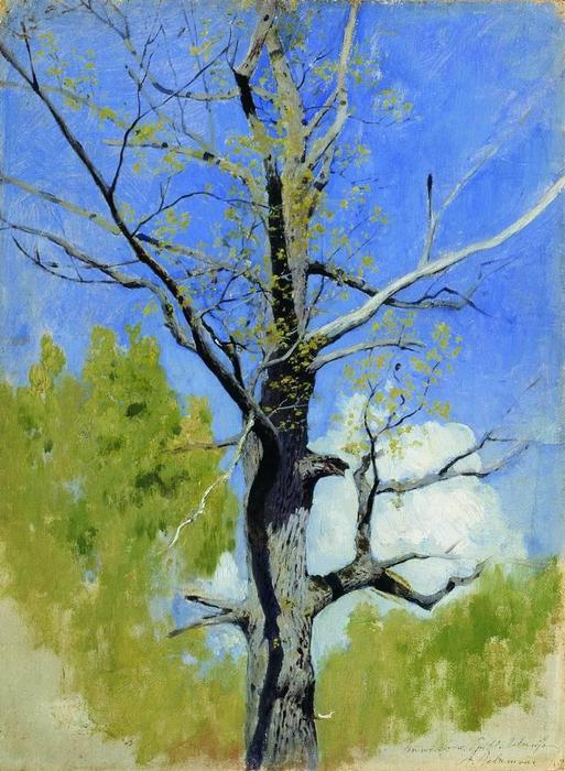 Trunk Of Burgeoning Oak — Isaak Ilyich Levitan