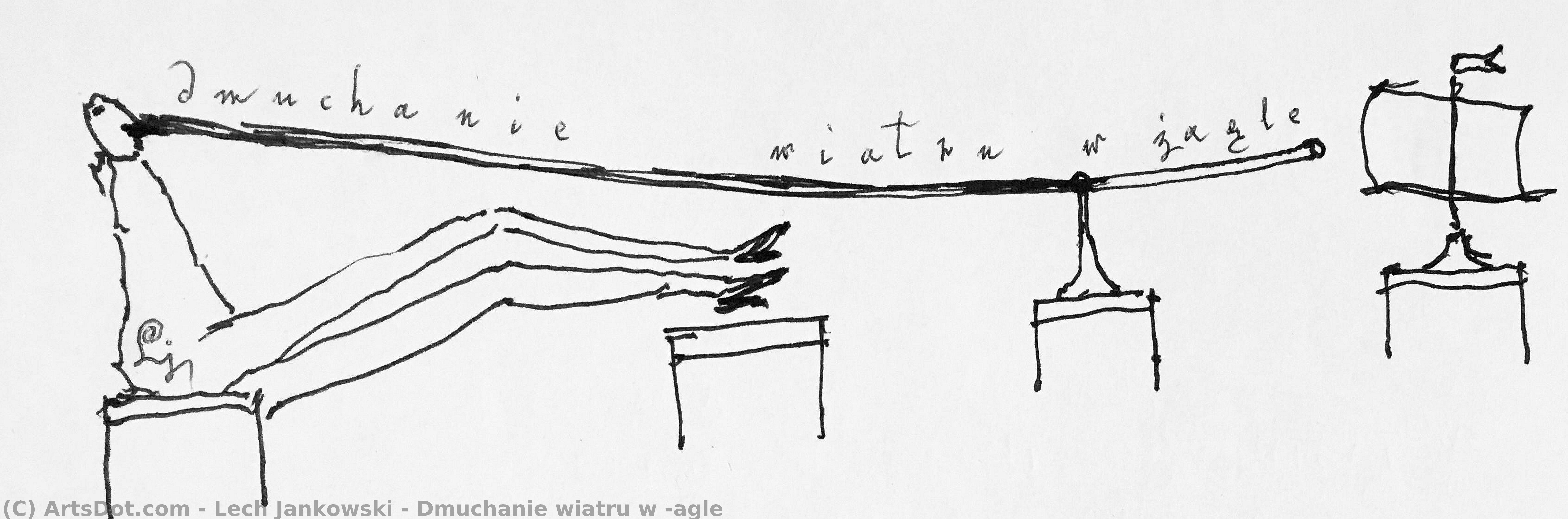 Dmuchanie Wiatru W Żagle — Lech Jankowski