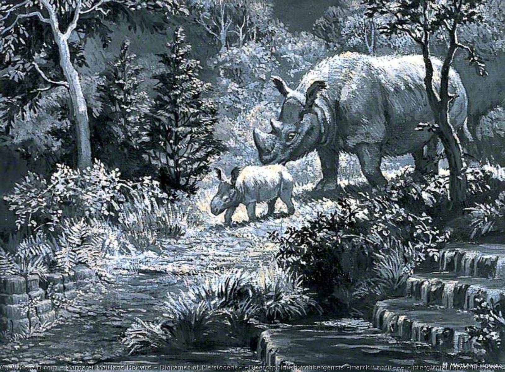 Dioramas Of Pleistocene, 'dicerorphinus Kirchbergensis (merckii Anctt)', (interglacial Forest Rhinoceros) — Margaret Maitland Howard