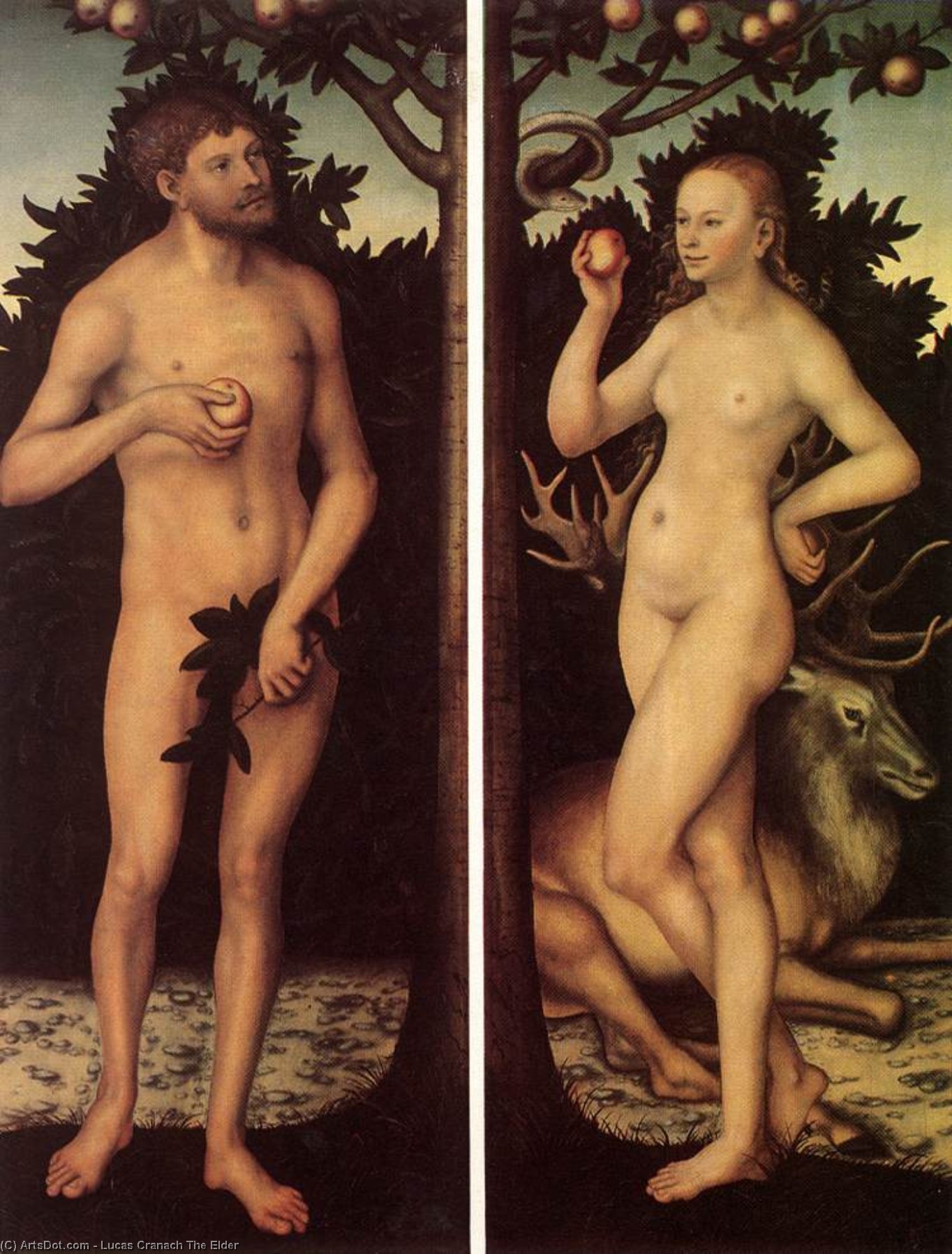Adam And Eve (8) — Lucas Cranach The Elder