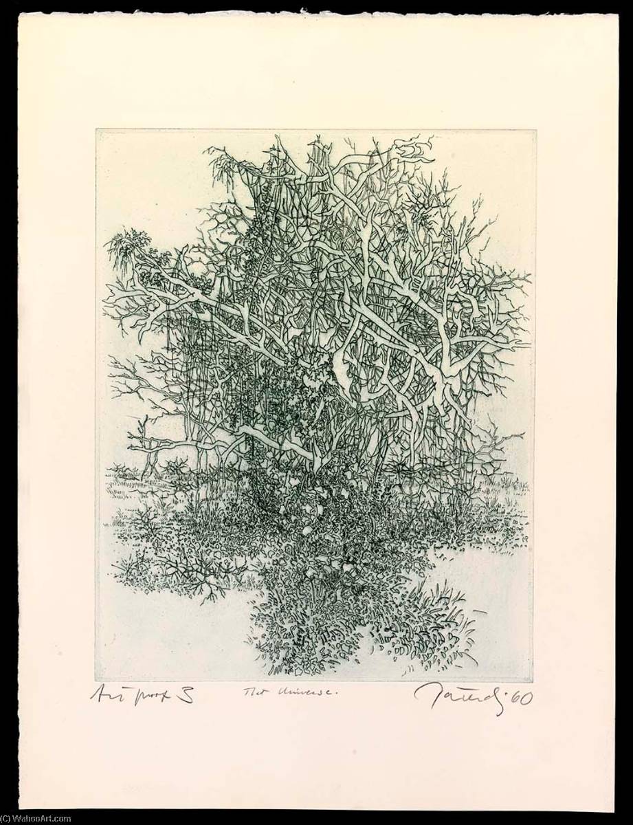 A Universe, State 3, From The Portfolio A Genesis — Gabor Peterdi