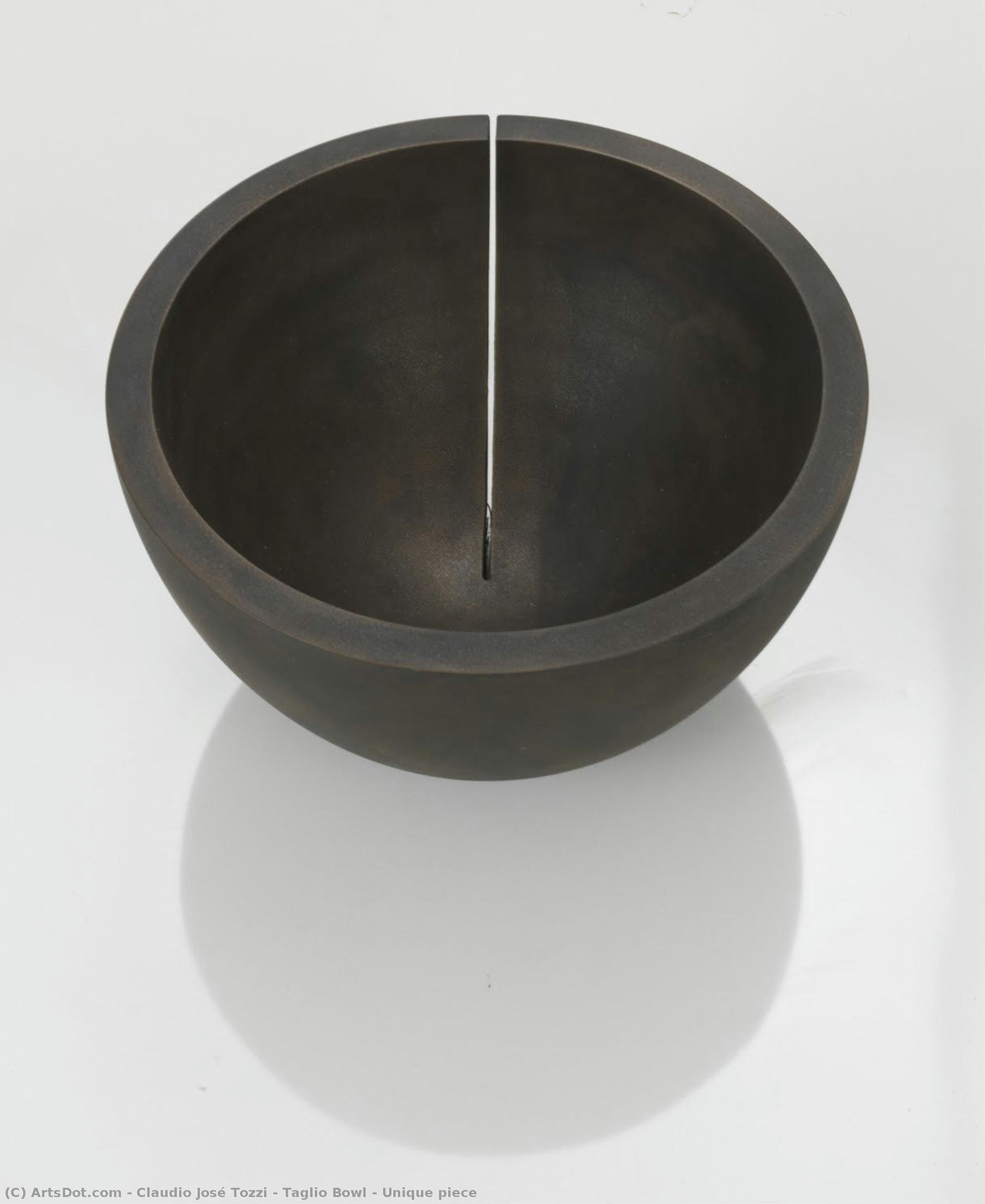 Taglio Bowl – Unique Piece — Claudio José Tozzi