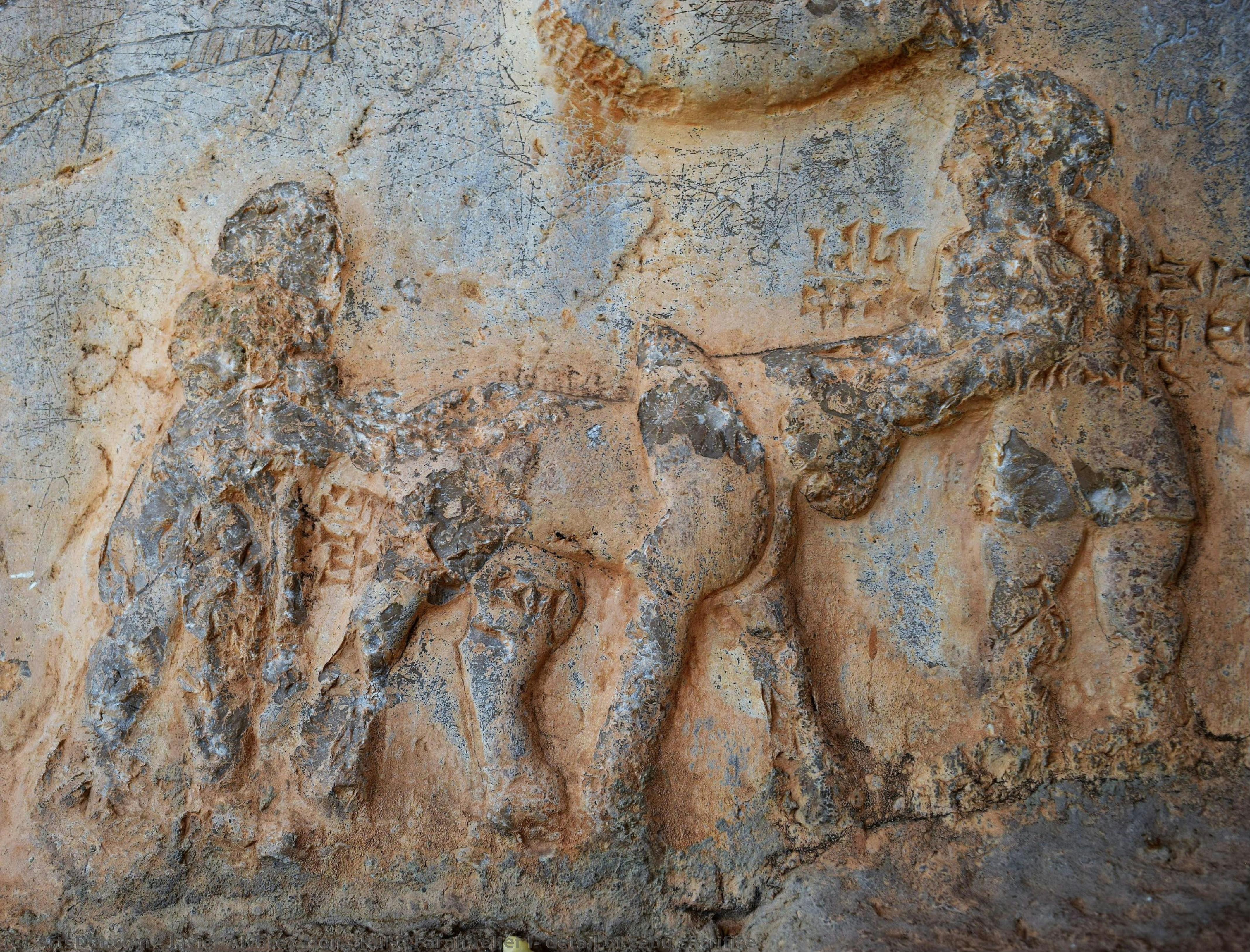 Kul-e Farah Relief I, Detail Of Zebu Sacrifice — Javier Álvarez Mon