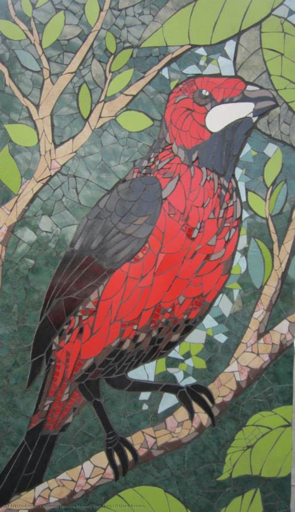 Pájaro Asoma — Shannon Monica Mcevoy Halston