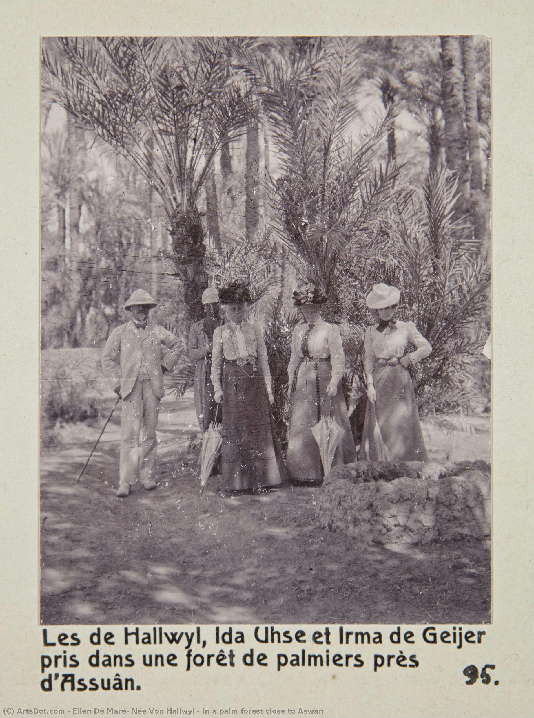 In A Palm Forest Close To Aswan — Ellen De Maré, Née Von Hallwyl