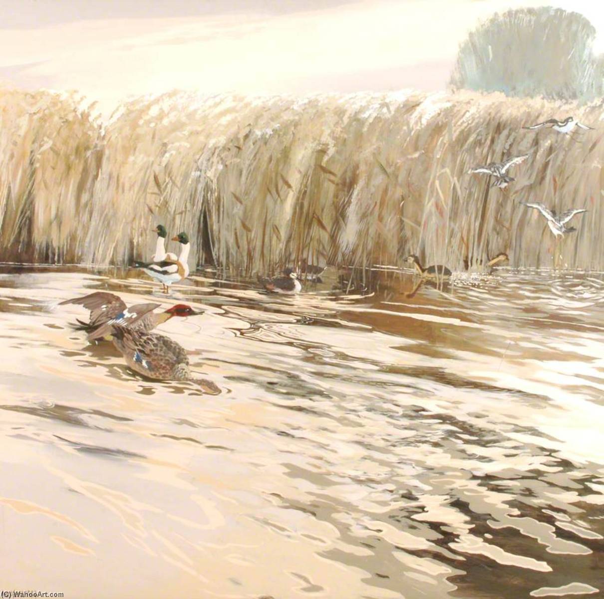 Ducks (triptych, Left) — Anne Toms