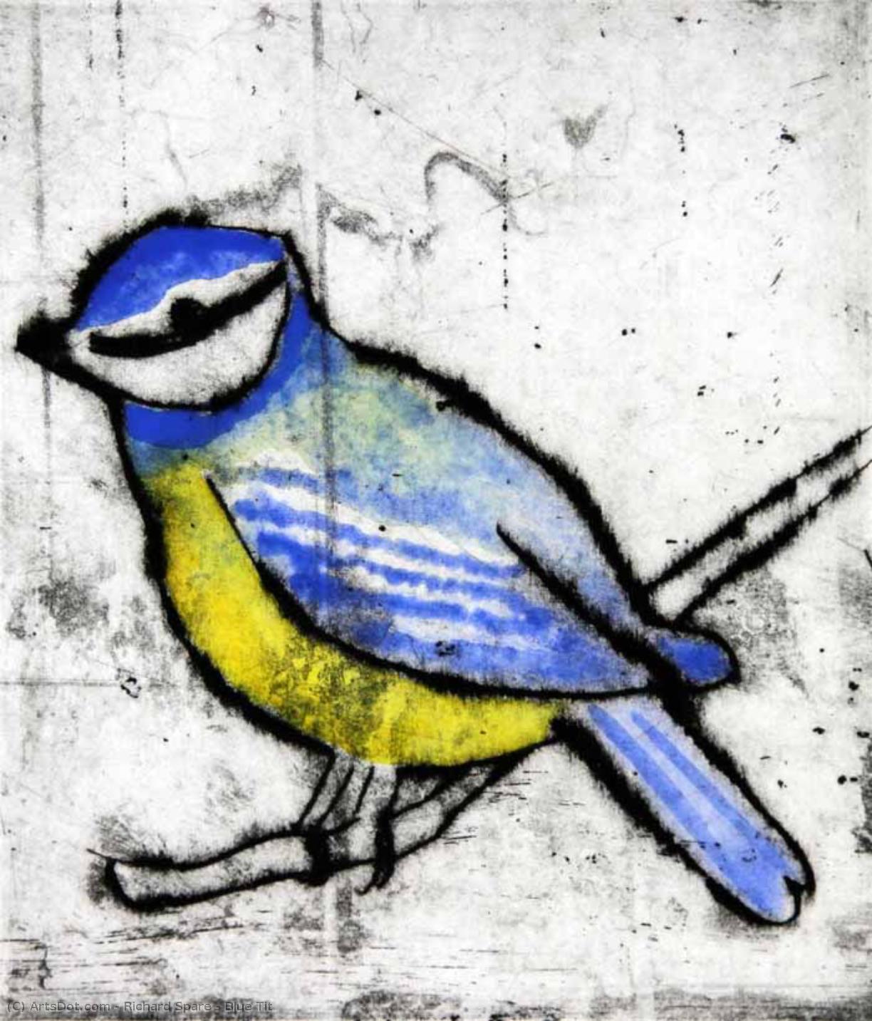 Blue Tit — Richard John Spare