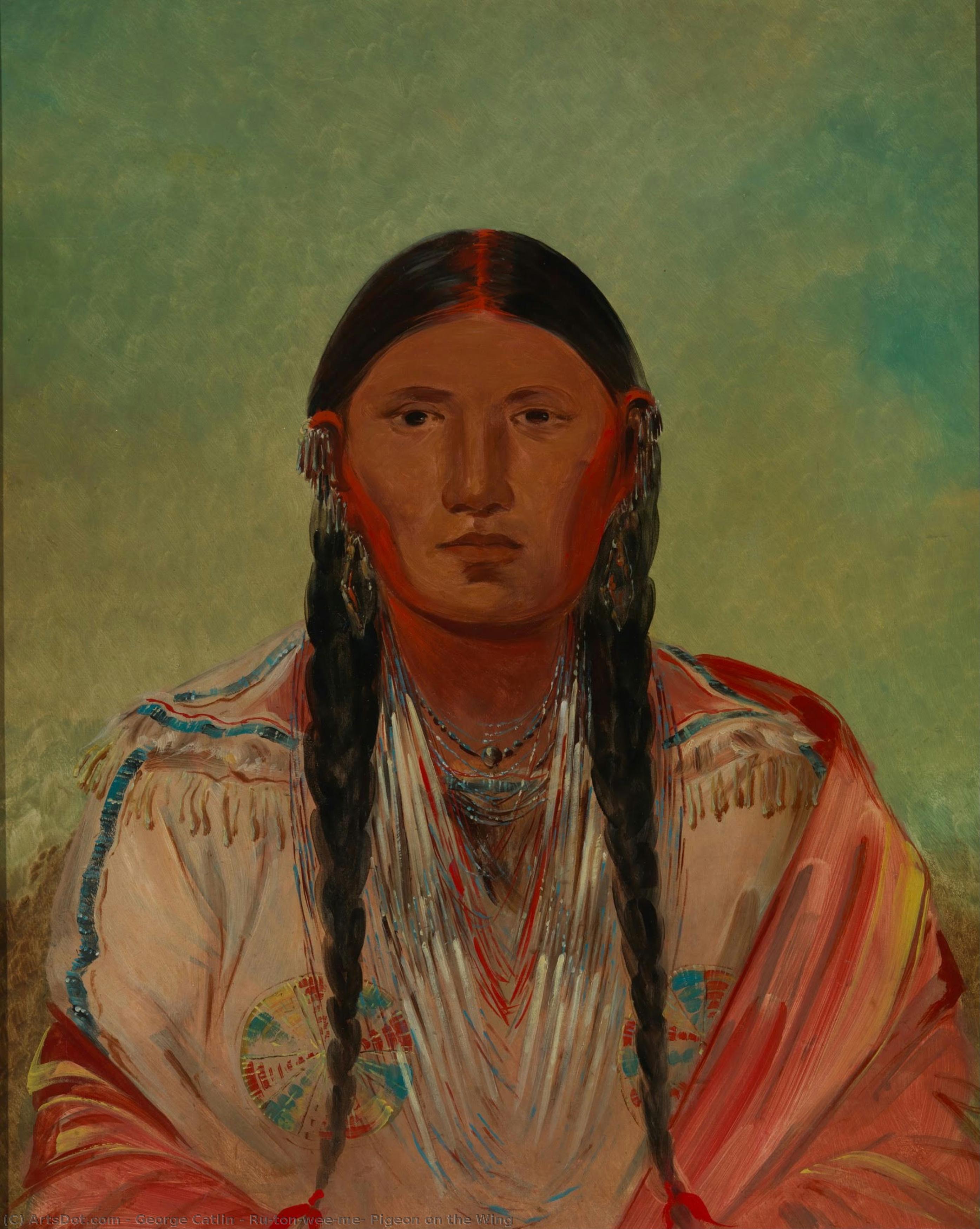 Ru-ton-wee-me, Paloma En Vuelo — George Catlin
