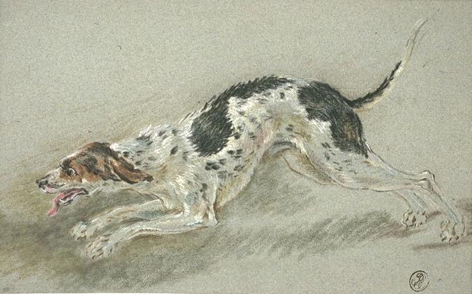 Un Chien Chassant Et Se Dirigeant Vers La Gauche — Jean-baptiste Oudry
