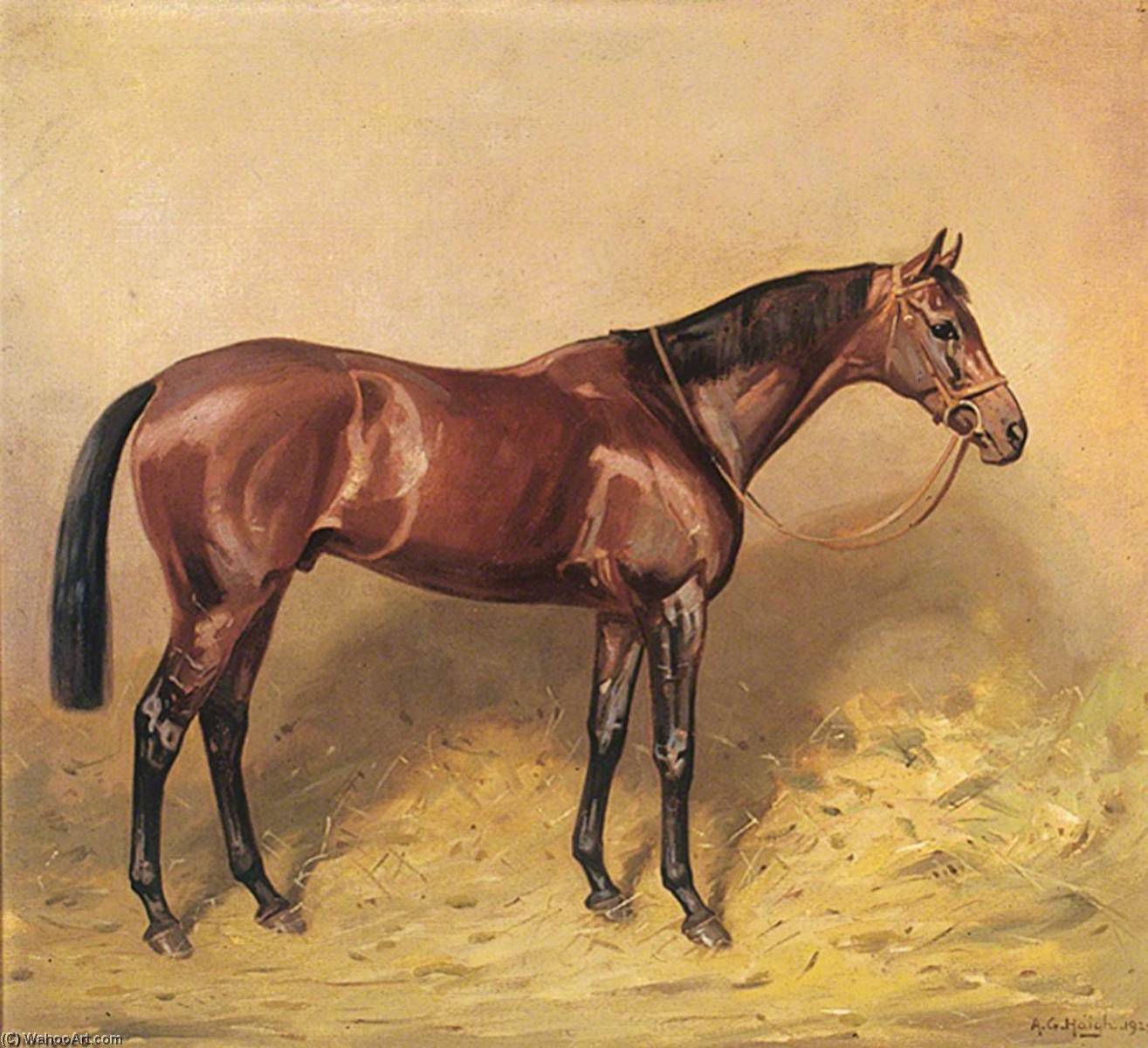 Horse Portrait, 'diomedes' — Alfred Grenfell Haigh