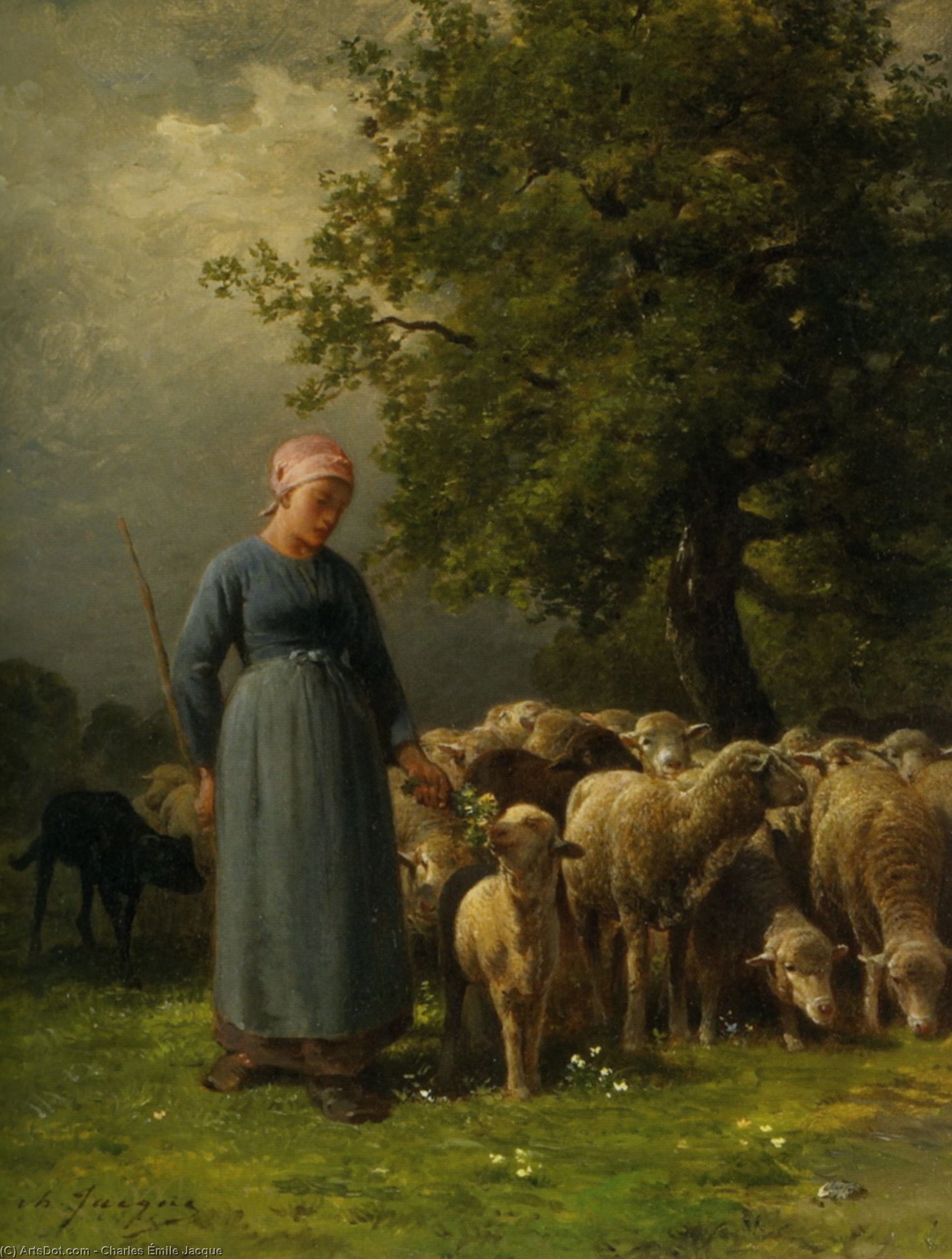 The Missing Flock — Šarl-emil Žak