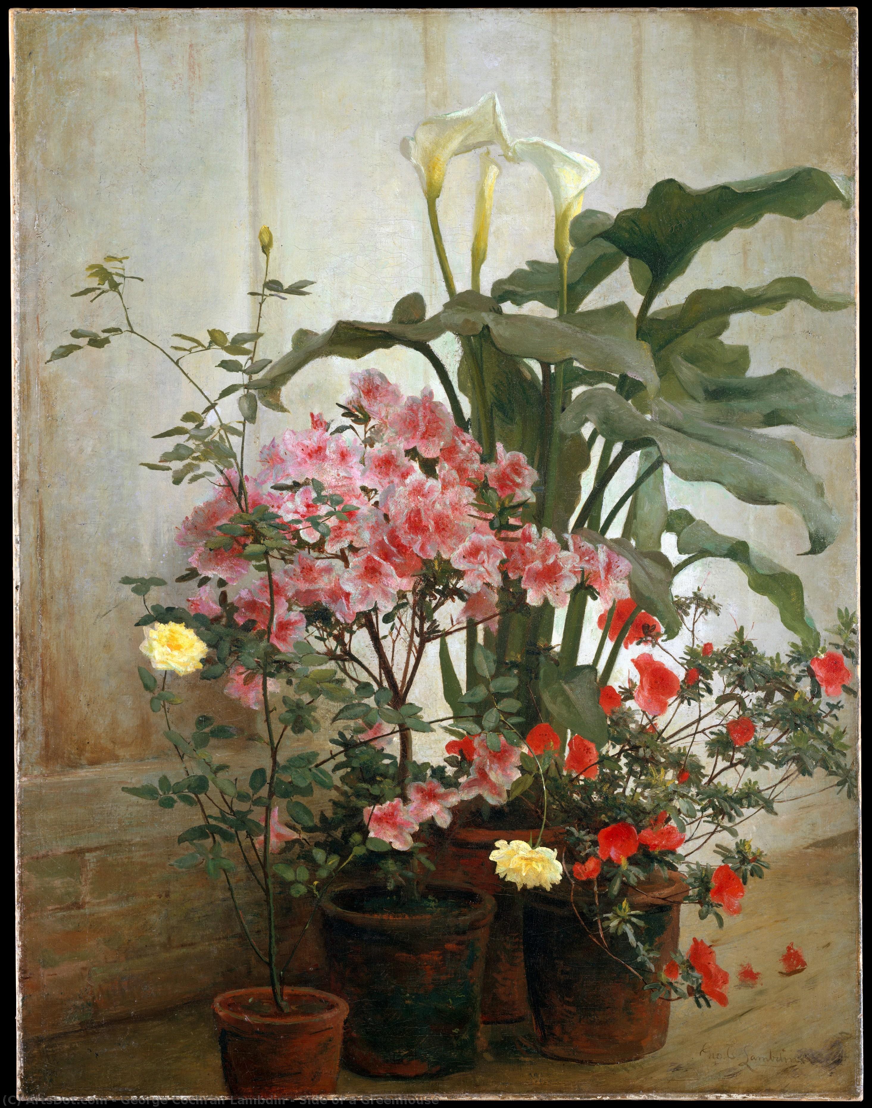 Side Of A Greenhouse — George Cochran Lambdin