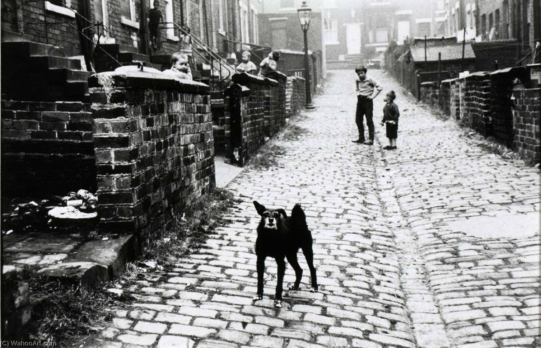 Leeds, England (alleyway Between Rowhouses, Boys Playing, Dog) — Jeffrey Blankfort
