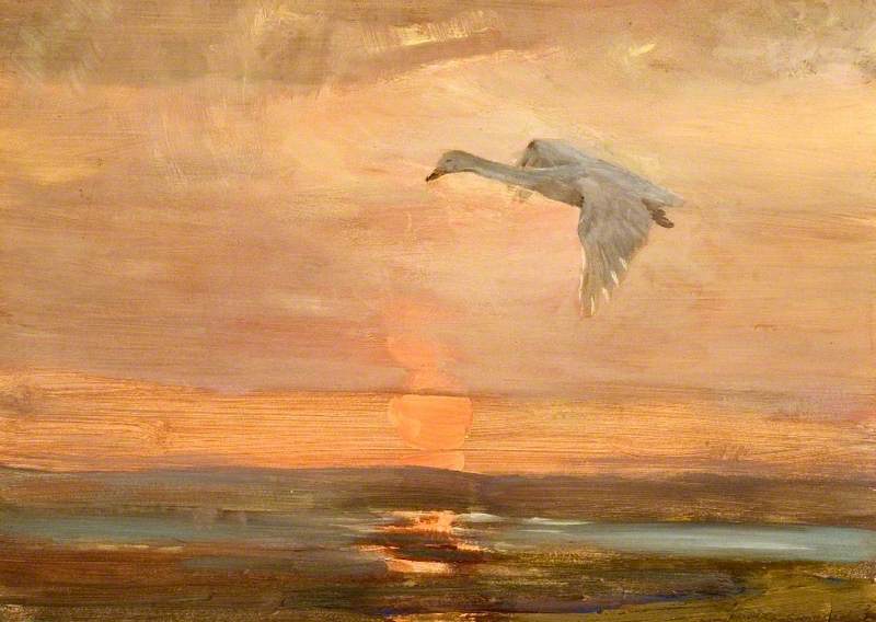 Flying Swan At Sunset — Charles Walter Simpson