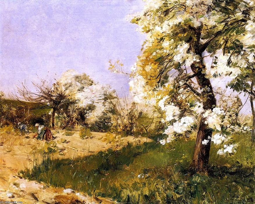 Pear Blossoms — Гассам