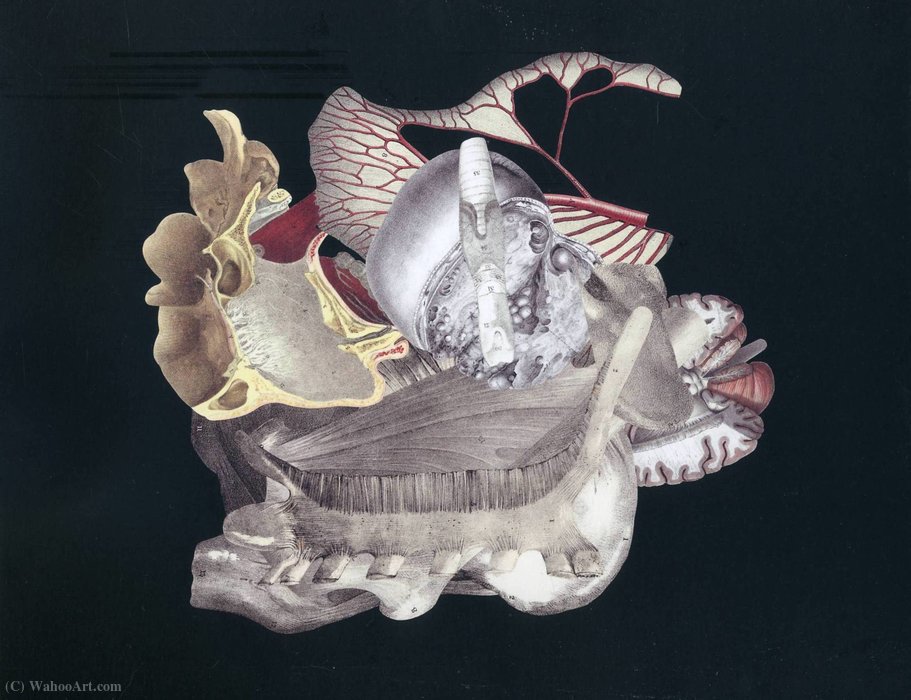 Untitled (213) — Frederick Sommer