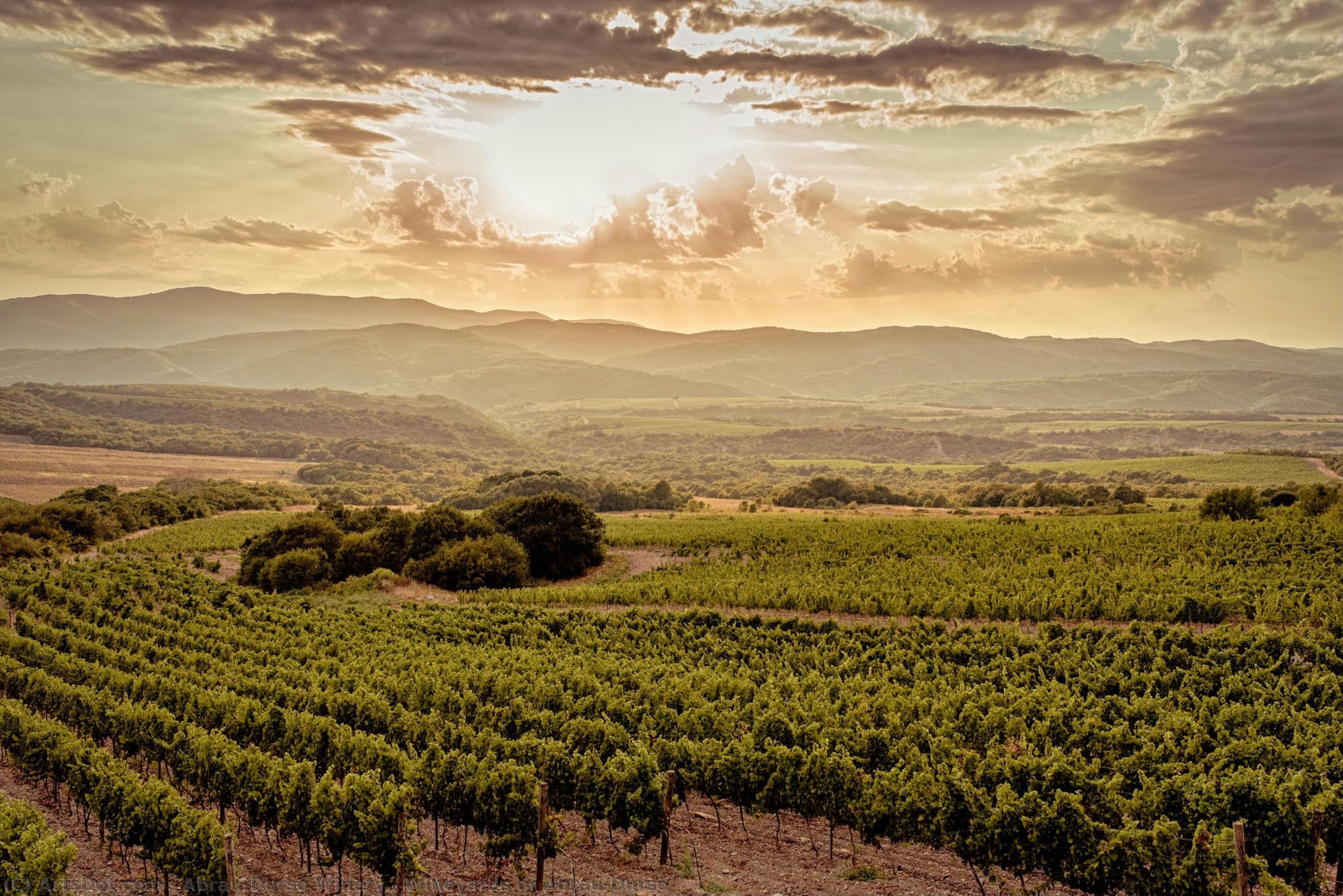 Wineyards Of Abrau-durso — Abrau-durso Winery