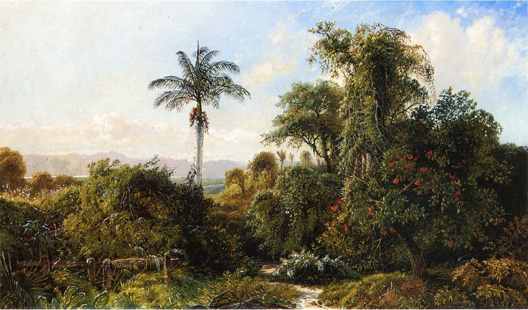Cuban Landscape — Edmund Darch Lewis