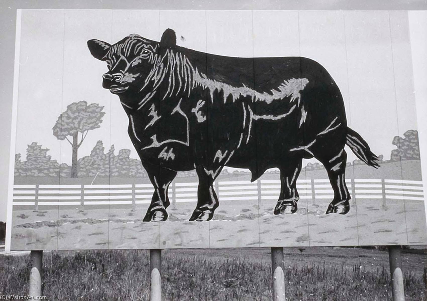 Cow Sign, From The Kansas Documentary Survey Project — Larry W Schwarm