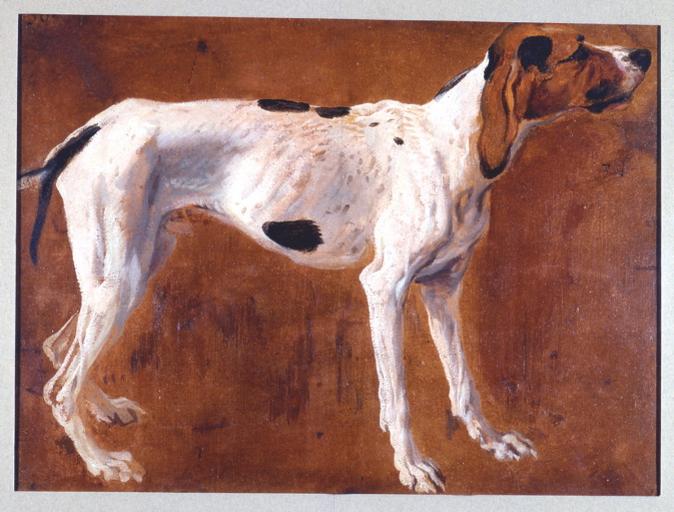 Chien De La Meute Du Grand Dauphin — Alexandre François Desportes